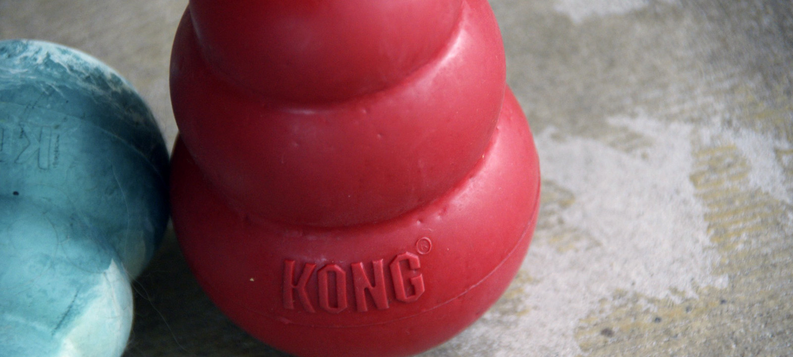 Kong2